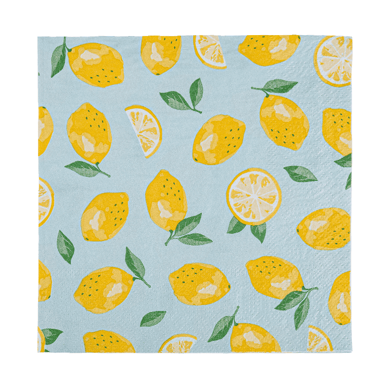 33x33 Buong pag-print ng 2-Ply Paper Napkins Paper Friut Pattern SJ5101